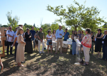 Université d’Avignon : un potager partagé sur le campus Jean-Henri Fabre