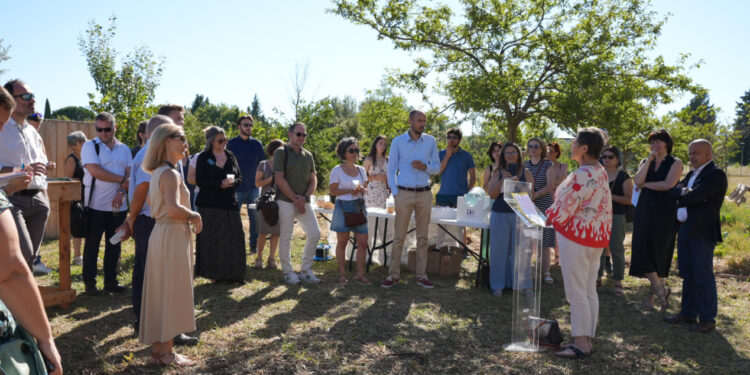 Université d’Avignon : un potager partagé sur le campus Jean-Henri Fabre