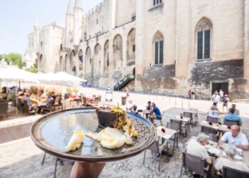 88% des Français prévoient de fréquenter les bars, cafés et restaurants cet été