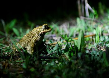 Ventoux Magazine vient de paraître