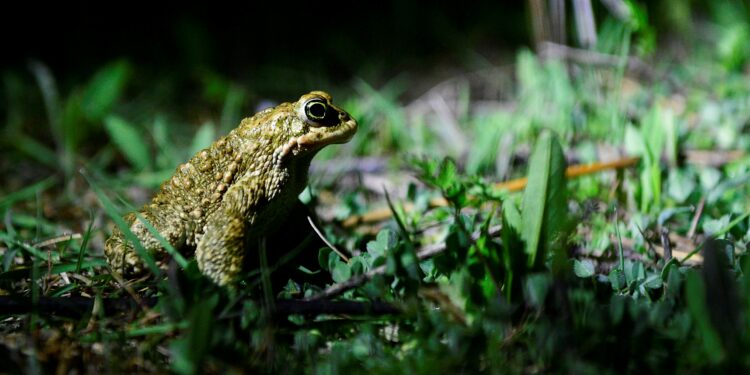 Ventoux Magazine vient de paraître