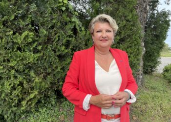 Au secours, l’abeille disparaît et avec elle la pollinisation et la bio-diversité