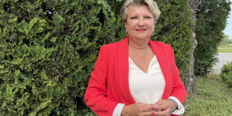 Au secours, l’abeille disparaît et avec elle la pollinisation et la bio-diversité