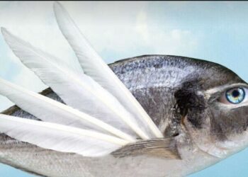 Festival Off, les premiers chiffres et hypothèses