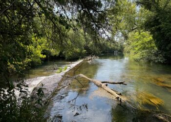 Préservation de la Sorgue : tout ce qu’il faut savoir