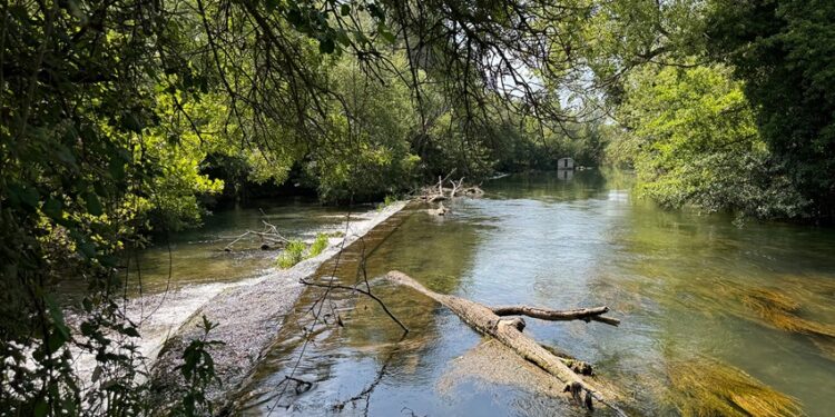 Préservation de la Sorgue : tout ce qu’il faut savoir