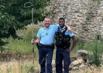 (Vidéo) Les gendarmes de Pertuis sauvent des sangliers de la noyade