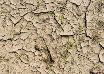 Sécheresse : 42 communes vauclusiennes reconnues en état de catastrophe naturelle