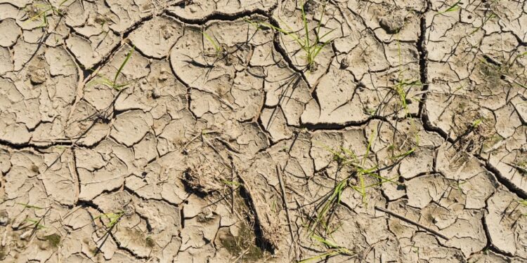 Sécheresse : 42 communes vauclusiennes reconnues en état de catastrophe naturelle