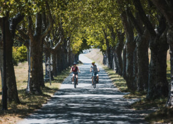 La Petite Vitesse propose des ateliers autour du vélo jusqu’à la fin de l’été