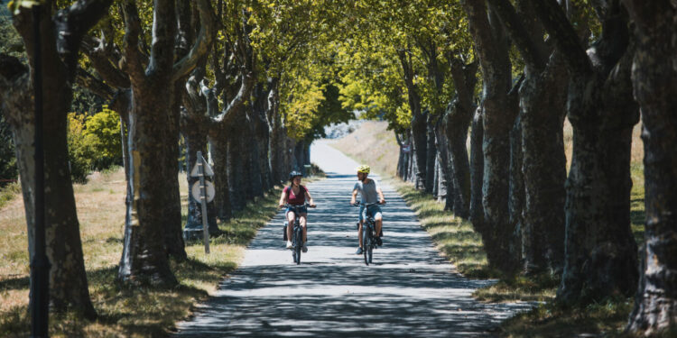 La Petite Vitesse propose des ateliers autour du vélo jusqu’à la fin de l’été