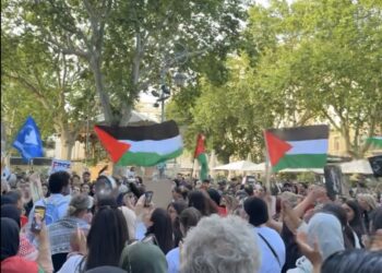 Avignon : une manifestation pour la paix à Gaza 