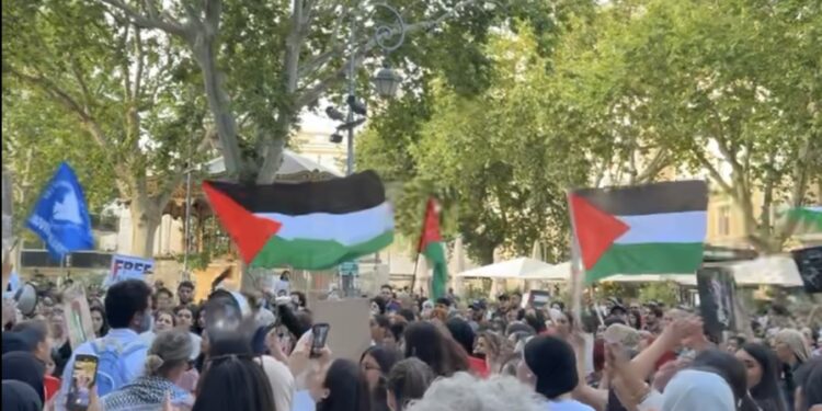 Avignon : une manifestation pour la paix à Gaza 