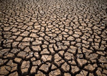 Sécheresse : la commune d’Entrechaux reconnue en état de catastrophe naturelle