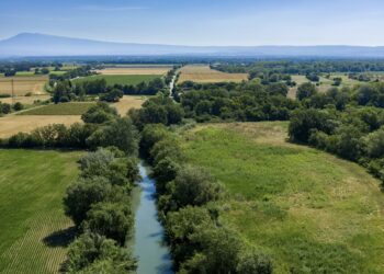 SMBS : la végétation vue du ciel 
