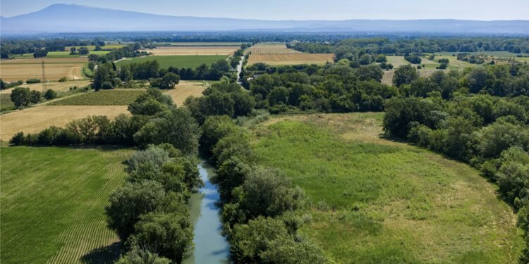 SMBS : la végétation vue du ciel 
