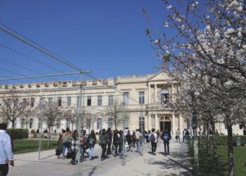 Faculté d’Avignon : les étudiants font leur rentrée 