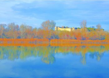 Villeneuve-lès-Avignon, Fort Saint-André, Camille Moirenc expose le Rhône