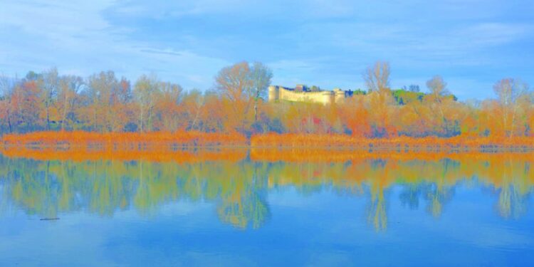 Villeneuve-lès-Avignon, Fort Saint-André, Camille Moirenc expose le Rhône