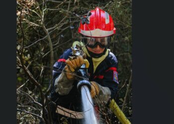 L’interview, Lise Trincaretto, Responsable prévision opérations du Centre de Secours Principal d’Avignon