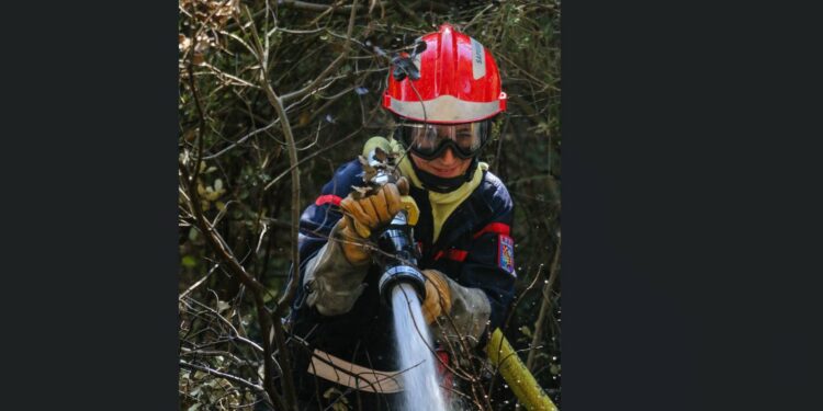 L’interview, Lise Trincaretto, Responsable prévision opérations du Centre de Secours Principal d’Avignon