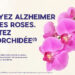 Fondation recherche Alzheimer, opération une orchidée pour la mémoire avec E. Leclerc