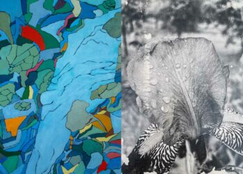 La photographie et la peinture se rencontrent à Lacoste