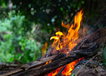 Vaucluse, les endroits interdits pour cause de Vigilance feux de forêts et risque d’incendie