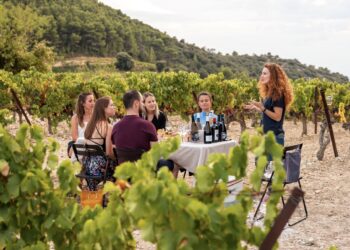 Le 17ème festival Ventoux saveurs proposera plus de 100 évènements gourmands 