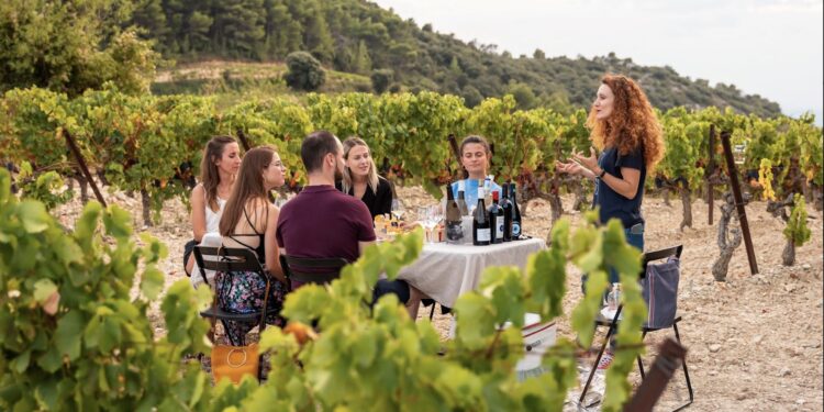 Le 17ème festival Ventoux saveurs proposera plus de 100 évènements gourmands