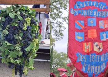 Ban des Vendanges de Gadagne : le Parc de l’Arbousière en fête pour le millésime 2024