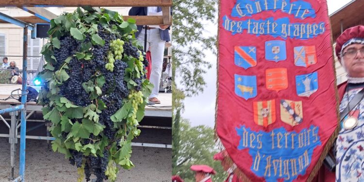 Ban des Vendanges de Gadagne : le Parc de l’Arbousière en fête pour le millésime 2024