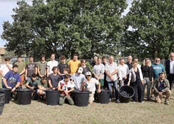 La CoVe a vendangé les 300 pieds de sa vigne intercommunale 