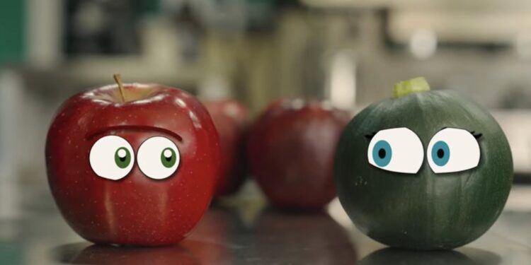 (Vidéo) Grand Avignon : la deuxième édition de « bien bon gourmand » c’est maintenant