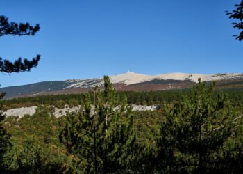 L’appel de la forêt du Parc naturel régional du Ventoux