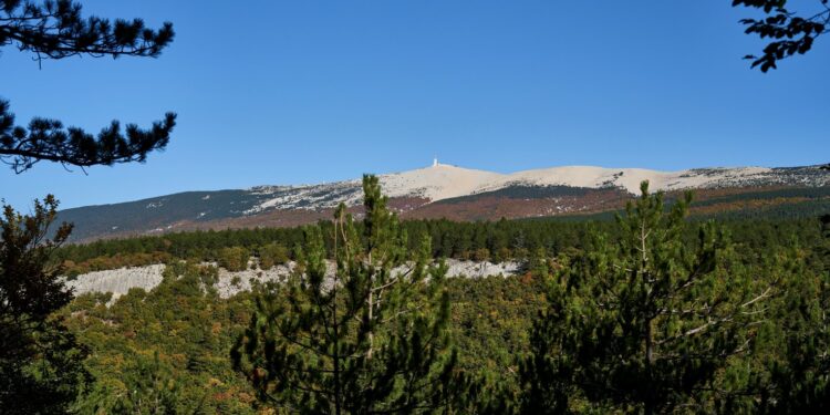 L’appel de la forêt du Parc naturel régional du Ventoux