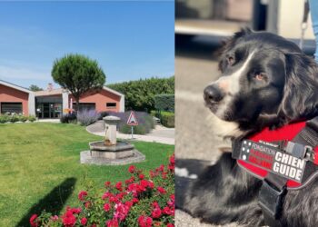 La Fondation Frédéric Gaillanne fête ses 10 ans