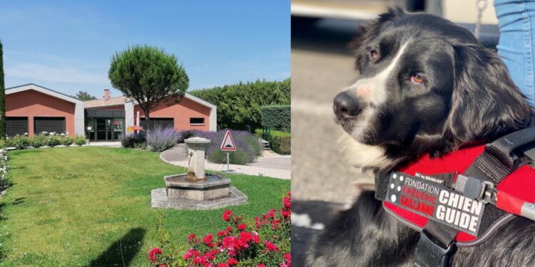 La Fondation Frédéric Gaillanne fête ses 10 ans