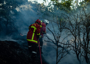 Voyage au cœur des services de lutte contre les incendies de forêt