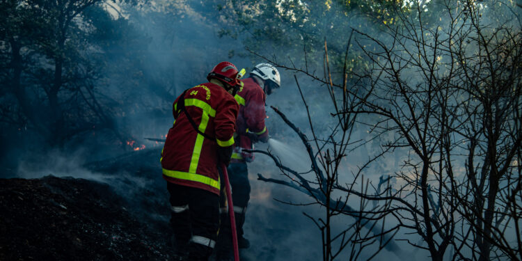 Voyage au cœur des services de lutte contre les incendies de forêt