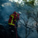 Voyage au cœur des services de lutte contre les incendies de forêt
