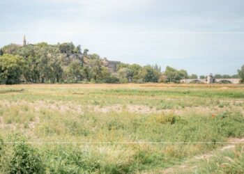 Convention de partenariat entre la Chambre d’agriculture & le Grand Avignon : préserver à tout prix les terres agraires