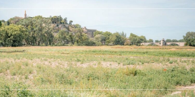 Convention de partenariat entre la Chambre d’agriculture & le Grand Avignon : préserver à tout prix les terres agraires
