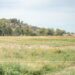 Convention de partenariat entre la Chambre d’agriculture & le Grand Avignon : préserver à tout prix les terres agraires