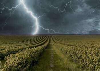 Pluies et orages : le Vaucluse en vigilance orange