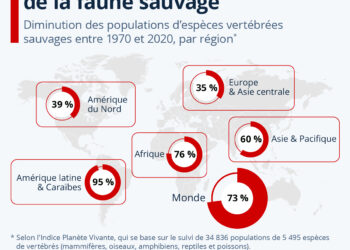 L’effondrement mondial de la faune sauvage