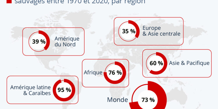 L’effondrement mondial de la faune sauvage