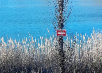 Les pêcheurs et les gendarmes de Vaucluse s’allient pour la protection des milieux aquatiques
