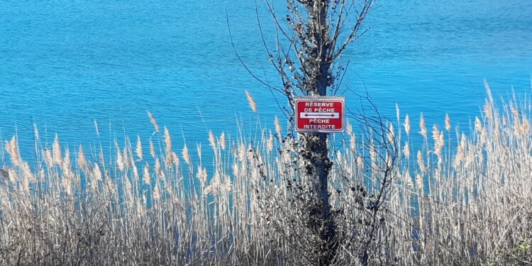 Les pêcheurs et les gendarmes de Vaucluse s’allient pour la protection des milieux aquatiques