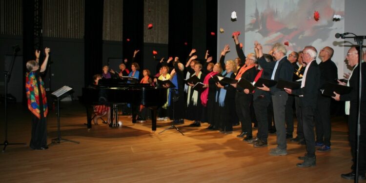 Basilique Notre-dame-des-Doms, Les automnales de Musique sacrée et orgue en Avignon